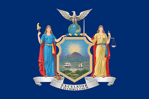 2025 gun selling resources for New York