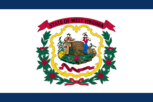 2025 gun selling resources for West Virginia