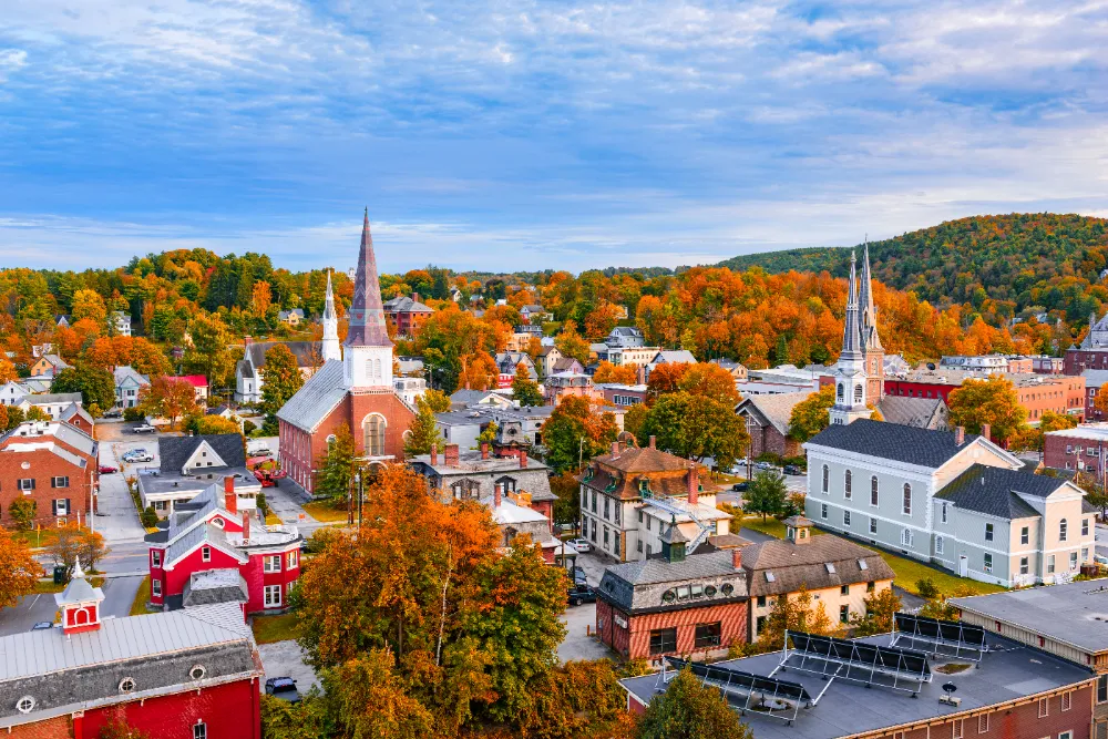 Selling a Gun in Vermont: Private Transfer Background Check & Immediate Family Exemption