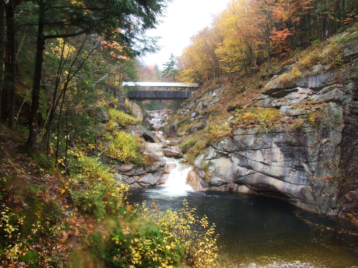 How to Sell a Gun in New Hampshire for Cash in 2026